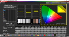 CalMAN ColorChecker (profil: P3, målfärgrymd: P3)