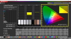 CalMAN ColorChecker (profil: sRGB, målfärgrymd: sRGB)